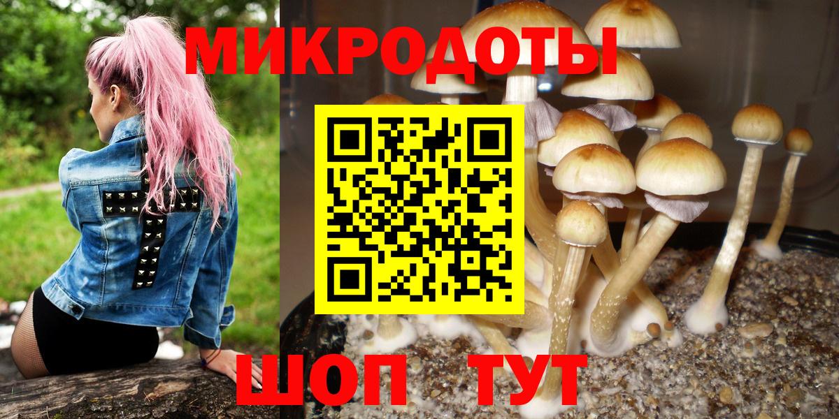 Псилоцибиновые грибы GOLDEN TEACHER Ялуторовск